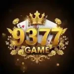 9377 Game