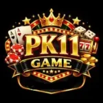 PK11 Game