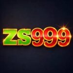 ZS999